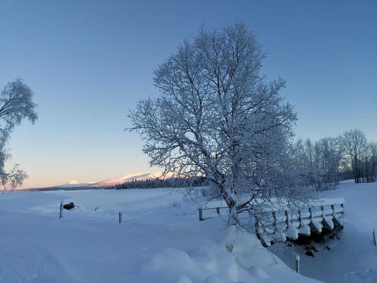 Villmarksgard Tommerstue Hattfjelldal 외부 사진