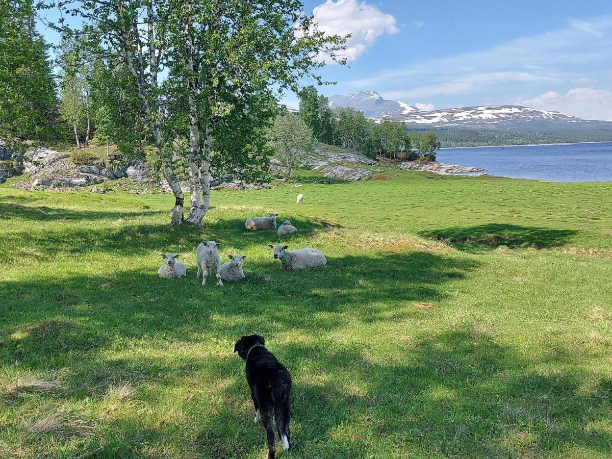 Villmarksgard Tommerstue Hattfjelldal 외부 사진